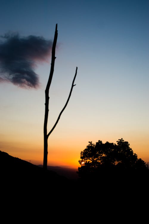 日落, 雲 的 免费素材图片