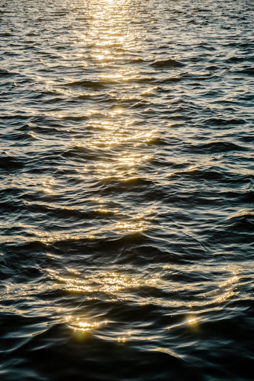 Sunlight over Water