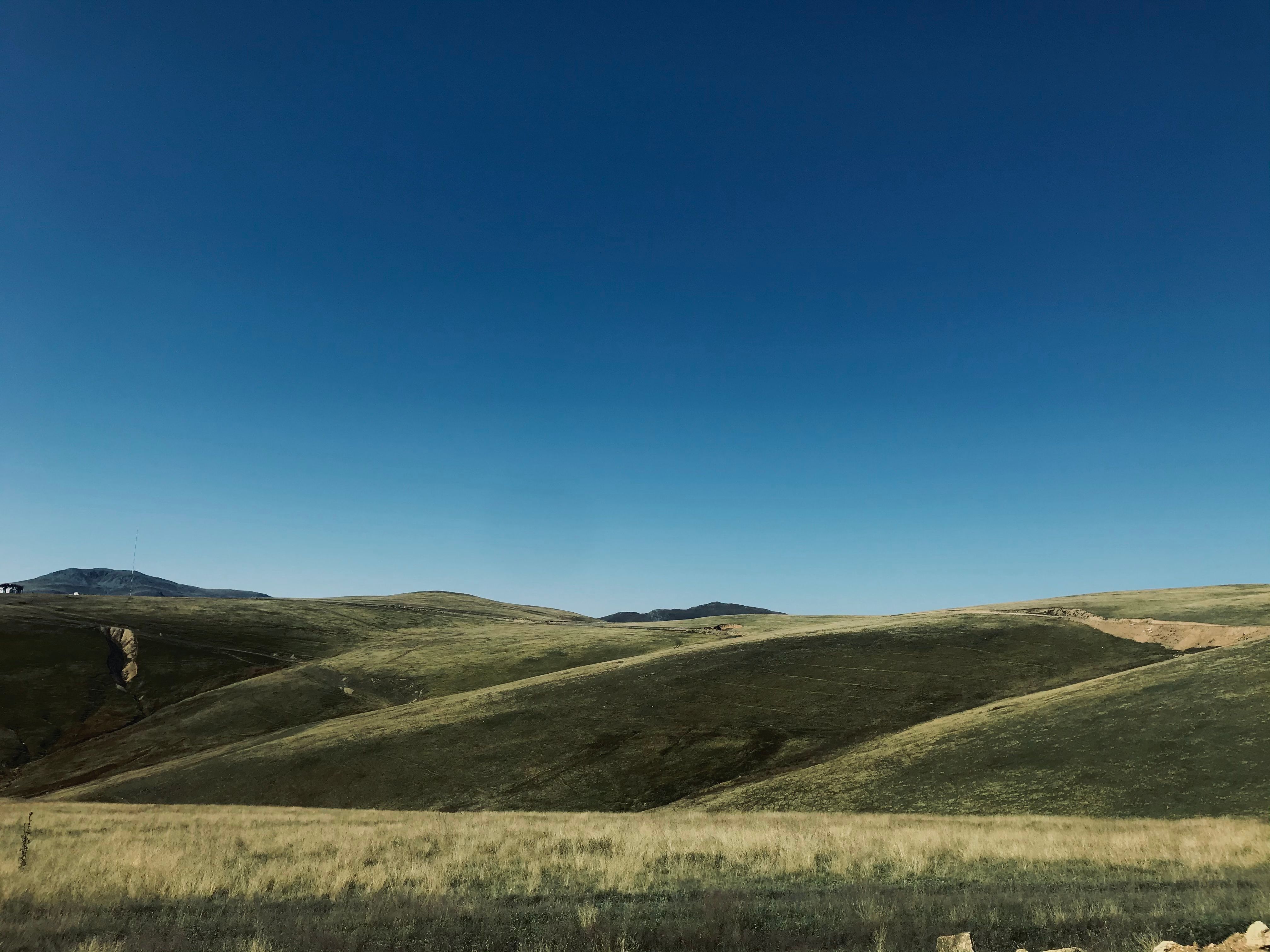 Green Grass Field Under Blue Sky · Free Stock Photo