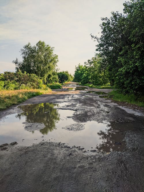 Puddle of Water on the Dirt Road Near Green Trees and Grass