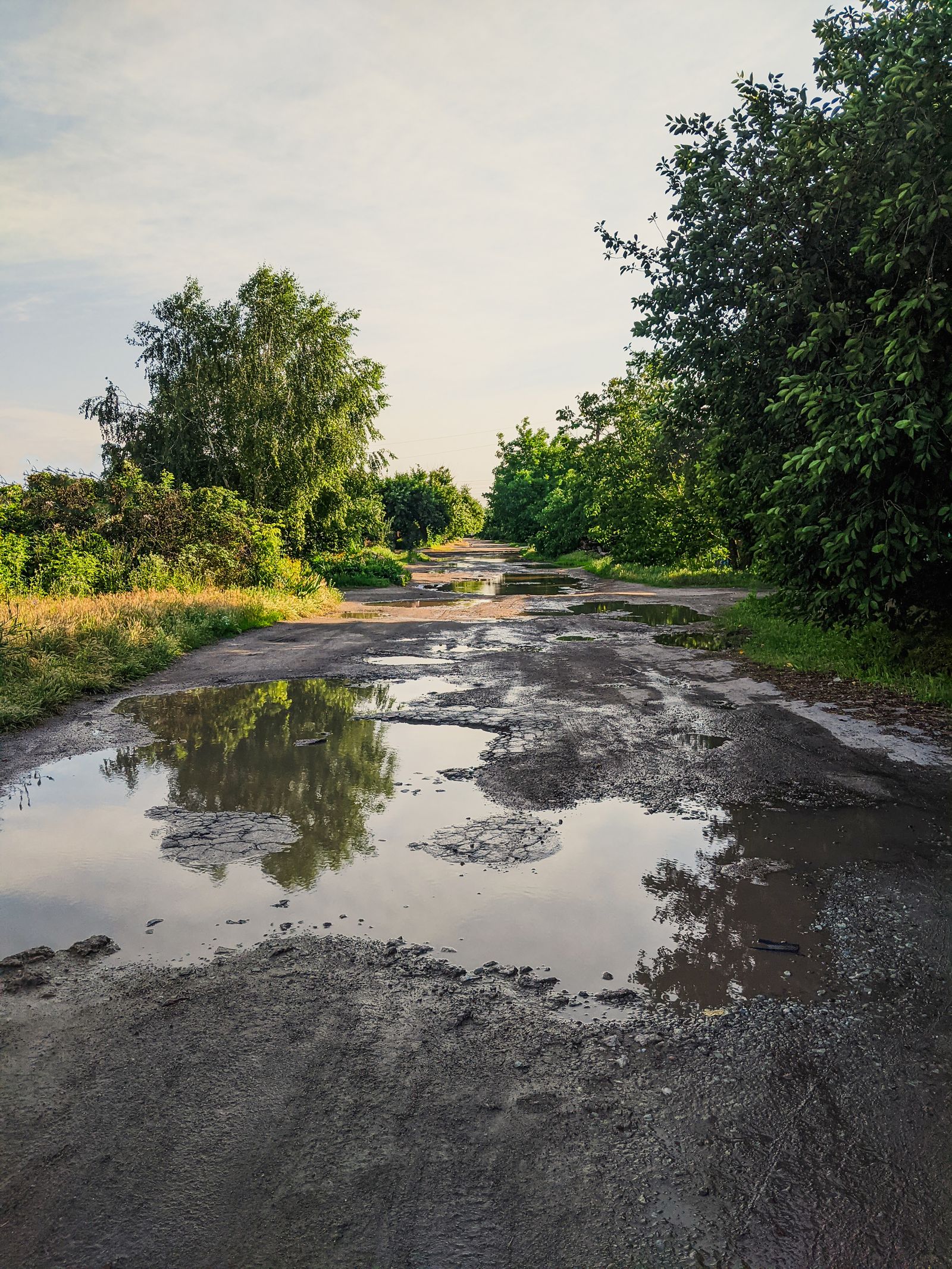 Muddy unpaved driveway with standing water and tire ruts after rain