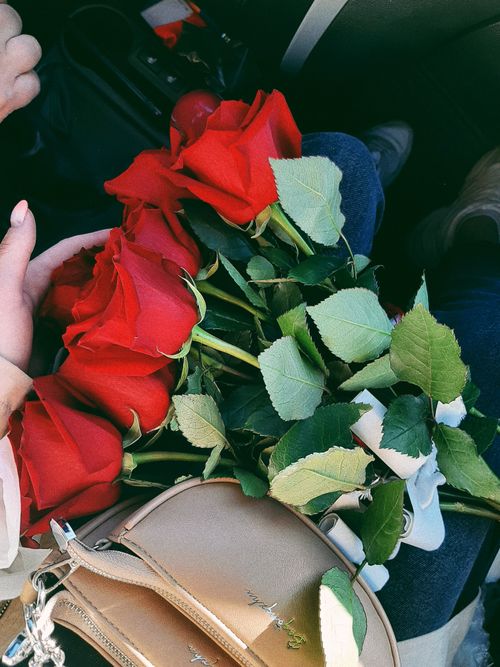 Free A fresh bouquet of red roses resting on a person's lap inside a car, symbolizing love and romance. Stock Photo