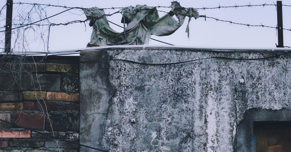 Qué significa seguridad fronteriza sin vulnerar derechos Qué significa seguridad fronteriza sin vulnerar derechos