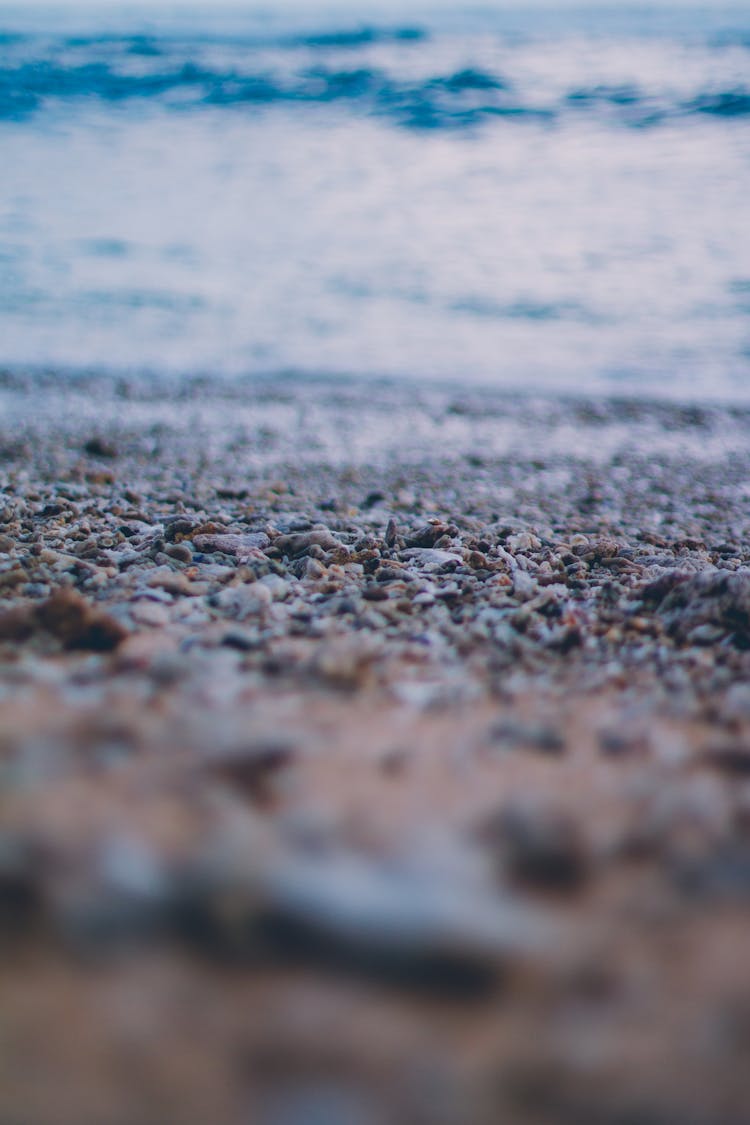 Stone Fragments On The Shore