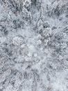 Free stock photo of abstract, chill, christmas