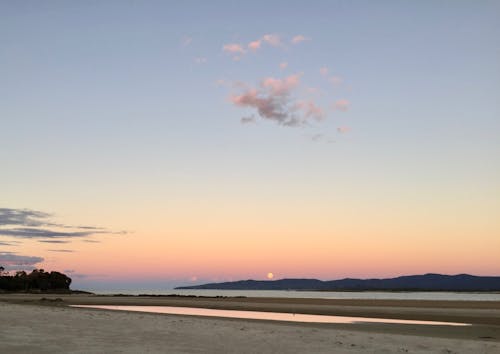Free stock photo of beach, summer evening, sunset
