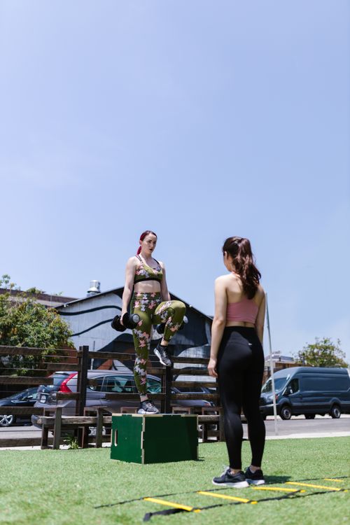 Free Two women engage in outdoor workout with dumbbells, enhancing fitness with calisthenics. Stock Photo