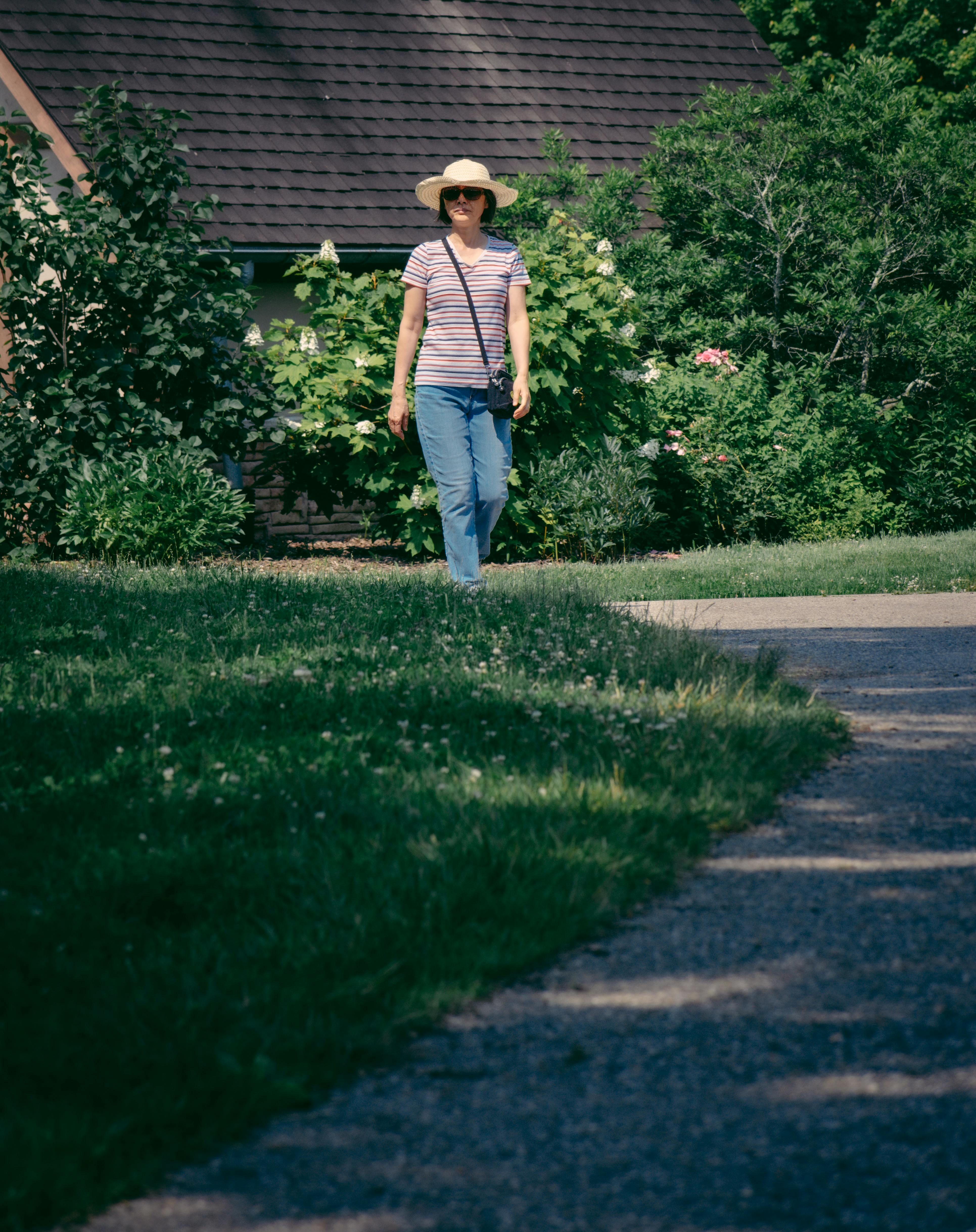 Person Walking on a Sidewalk Between the Trees · Free Stock Photo