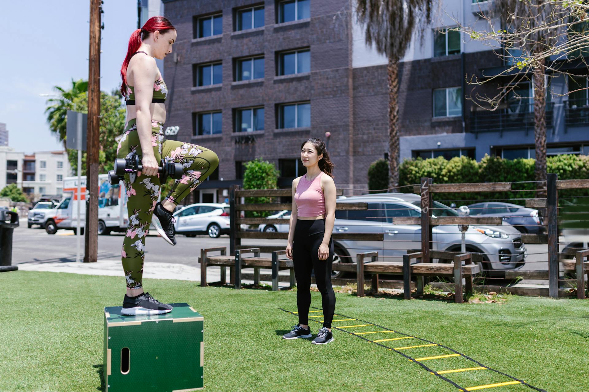Woman Holding Dumbbell Standing on Wooden Box