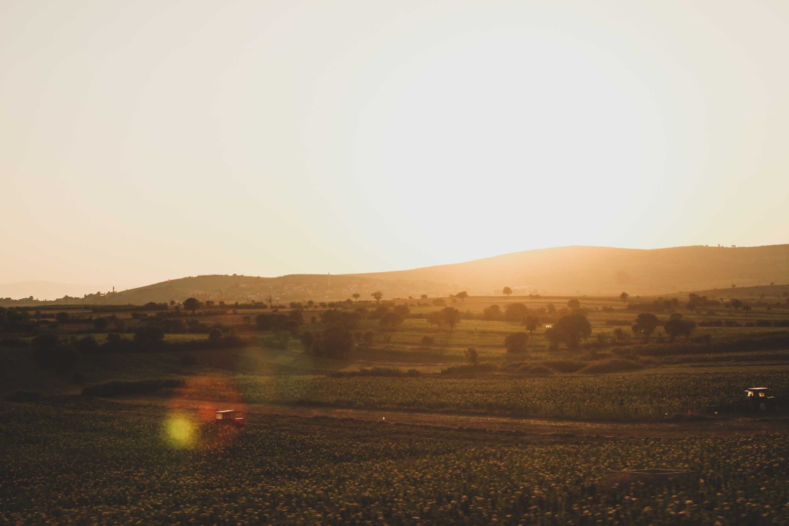 Rolling farmland at sunrise