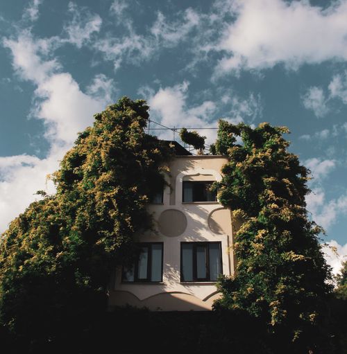 Free Vine-covered building in Istanbul under a blue sky, showcasing unique architecture. Stock Photo