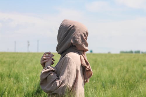 Immagine gratuita di abito marrone, campagna, campo d'erba