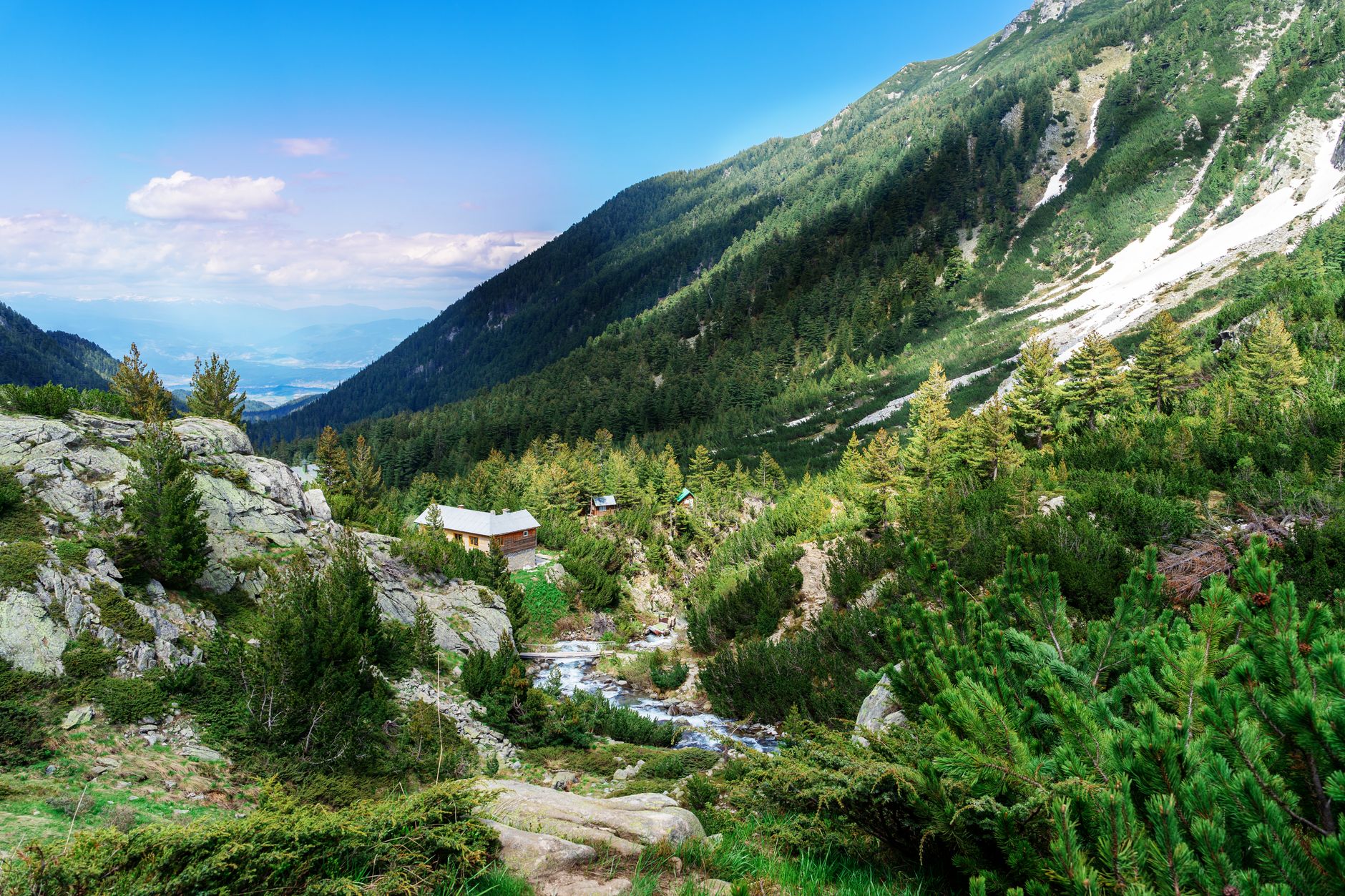 Foothills of Vitosha mountain with pine forest and hiking trail near Sofia