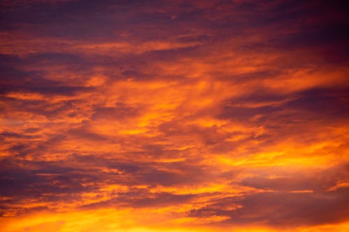 Foto profissional grátis de céu alaranjado, Hora dourada, nascer do sol