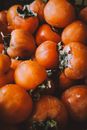 Red Tomatoes on White Table
