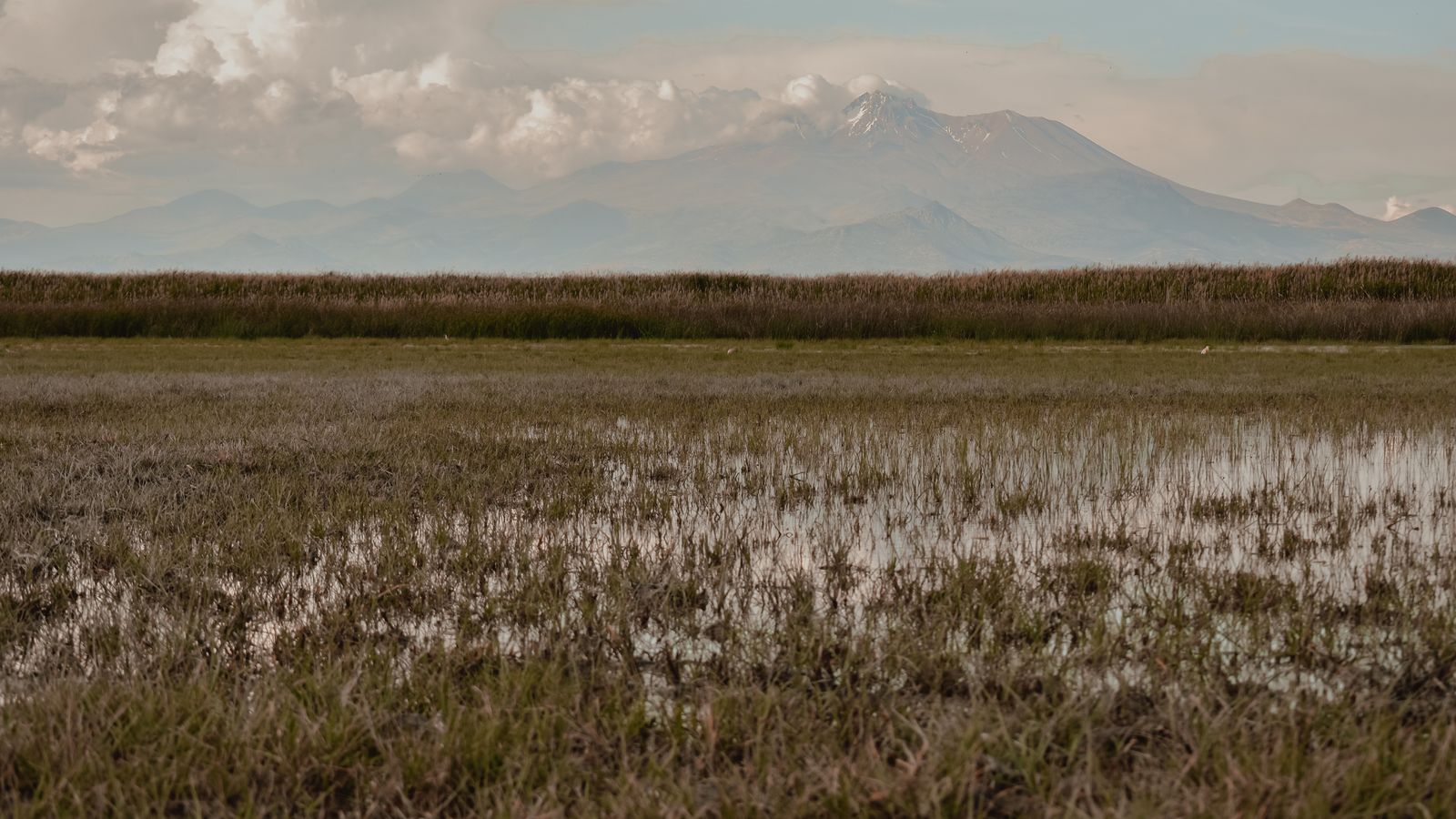 Mountain view beyond the green marsh, South Sudan