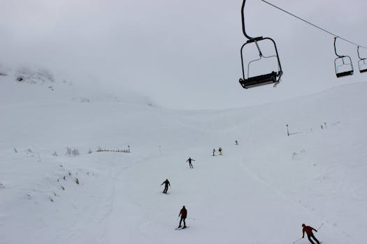 Winter scene showcasing skiers on a snow-covered mountain with ski lifts.