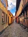 A Cobblestone Street Between Houses