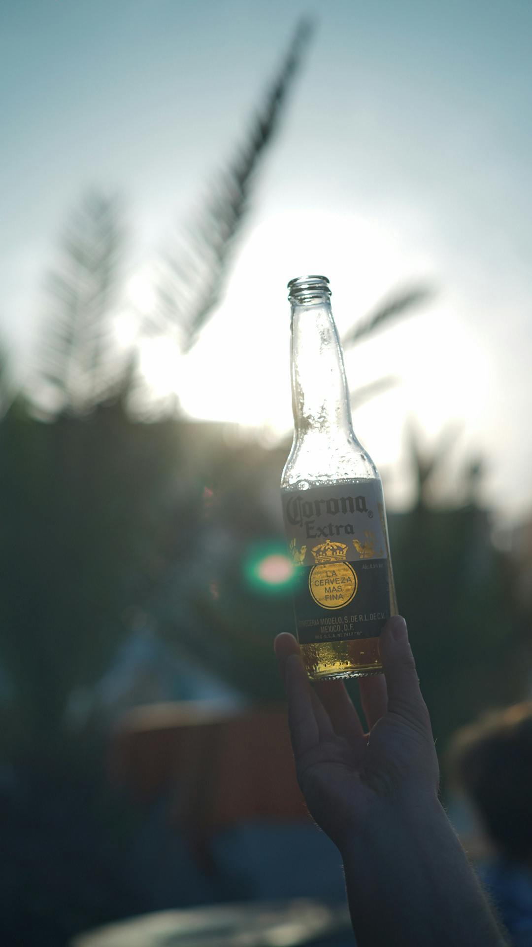 Free stock photo of beach, beer, corona
