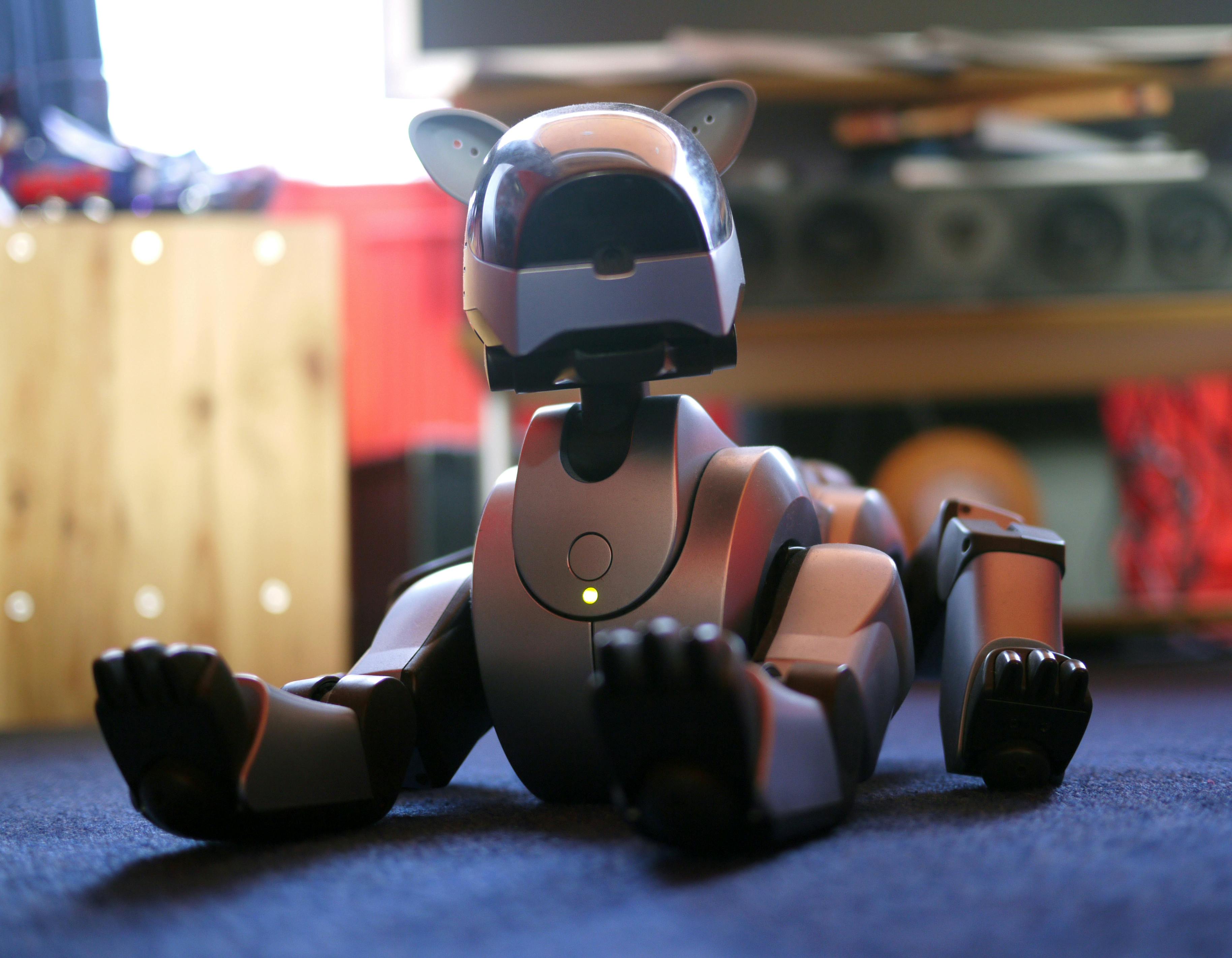 Free stock photo of electronic toy, pet, robot