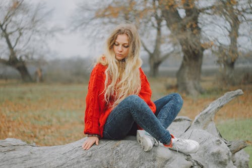 Free 切り取った木に座っている赤いセーターの女性 Stock Photo