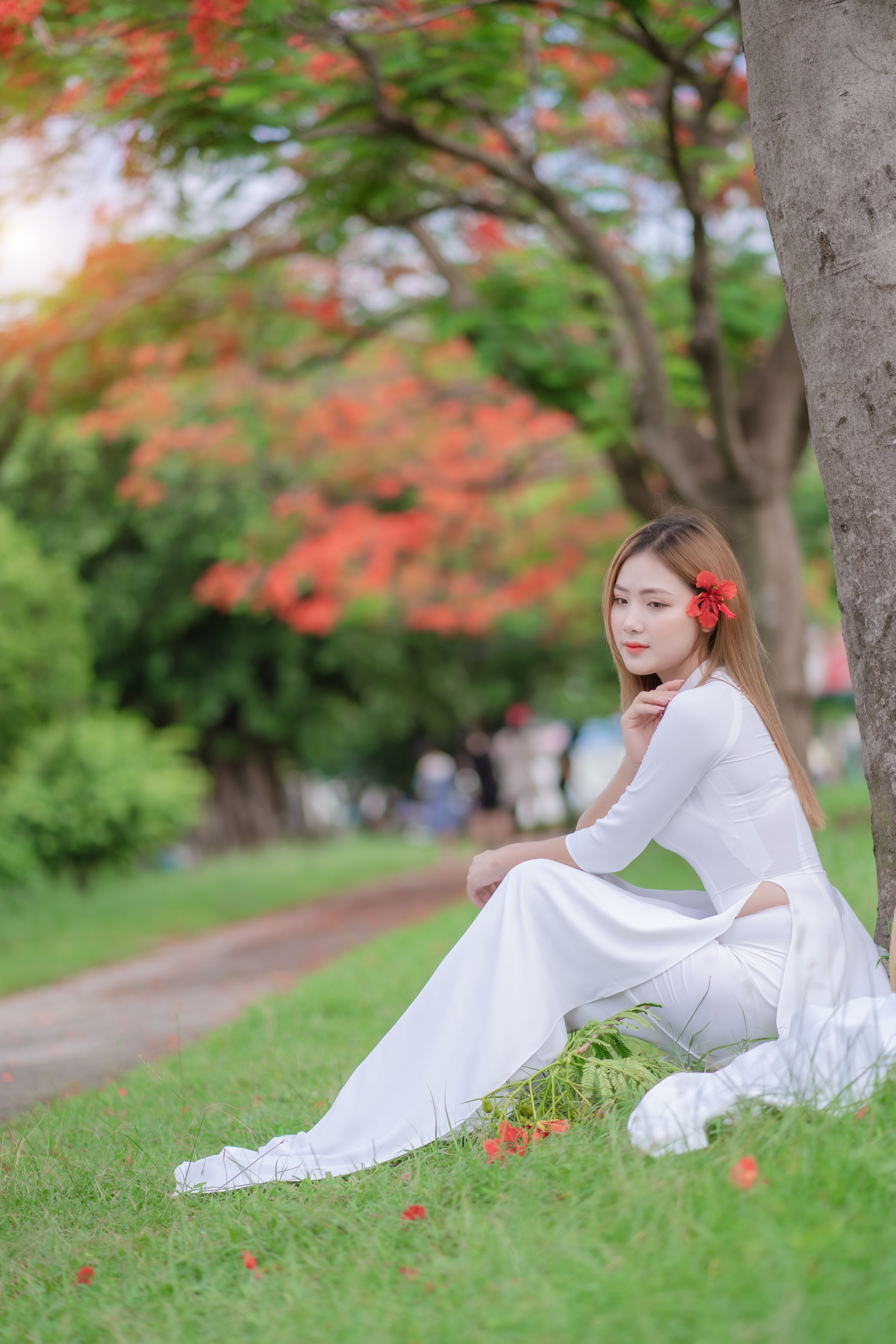 A Woman Posing Under a Royal Poinciana Tree · Free Stock Photo