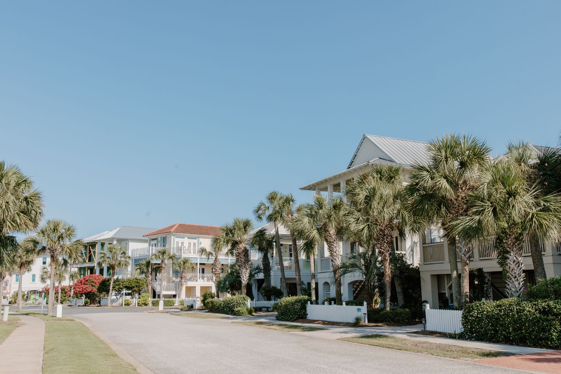 Scenic view of a suburban street lined with palm trees and modern houses