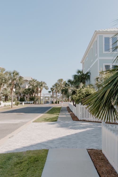 Sidewalk with residential houses with white fence in suburb area with green palm trees against blue sky on summer day