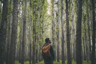 一名男子背着背包，在郁郁葱葱的森林中探索，周围环绕着高大的树木