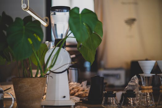 A warm, inviting coffee counter setup with brewing equipment and green plants, capturing a cozy vibe.
