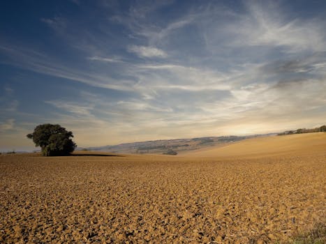 A vast rural farmland with clear skies and horizon, showcasing natural beauty.