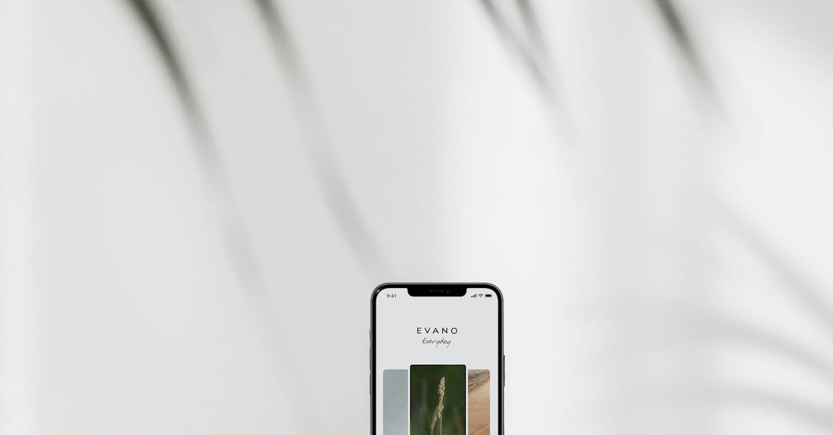 Modern smartphone showcasing a website with minimalist design and plant shadows. Local SEO Checklist