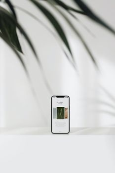 Modern smartphone showcasing a website with minimalist design and plant shadows.