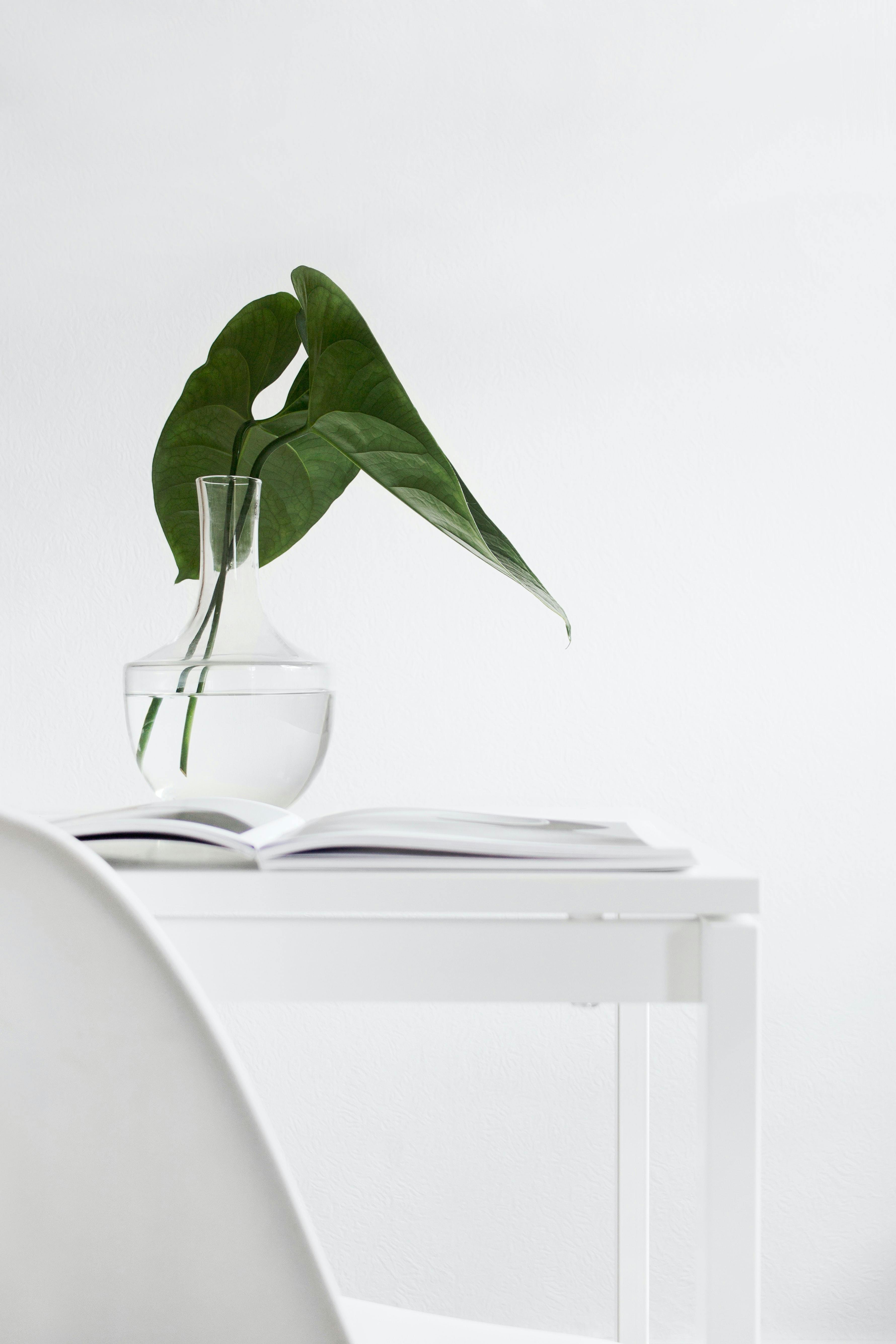 A minimalist setup with a large leaf in a glass vase on a white table, offering simplicity and elegance.