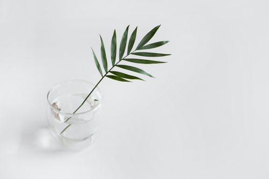 A minimalist composition featuring a green leaf in a glass cup on a white background.
