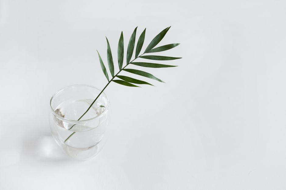 A minimalist composition featuring a green leaf in a glass cup on a white background.