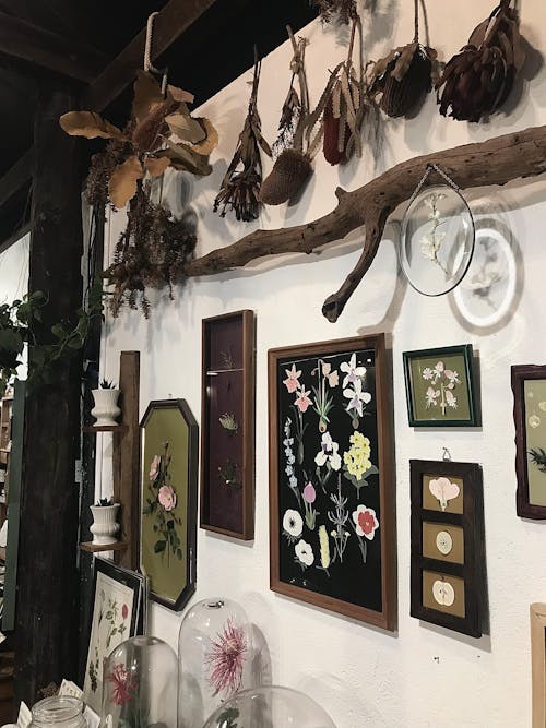 Free stock photo of aesthetic wallpaper, dried flower, interior decor Stock Photo