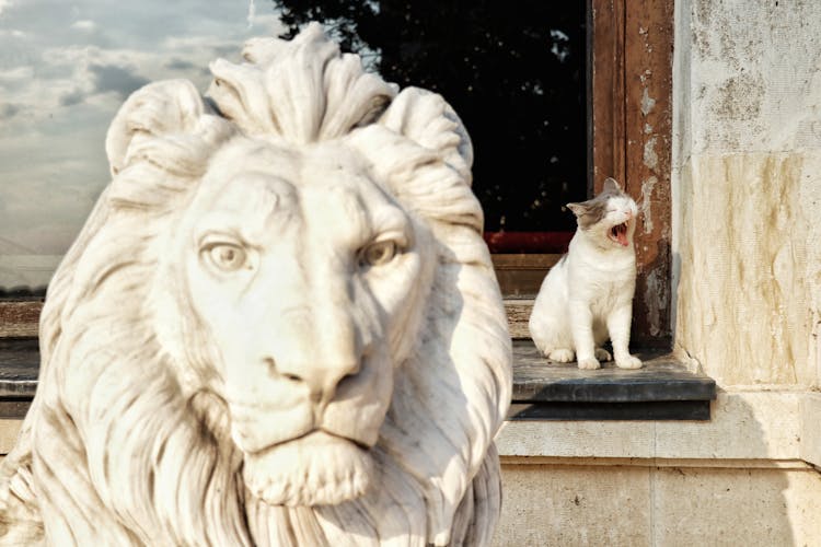 Cat Near A Lion Sculpture