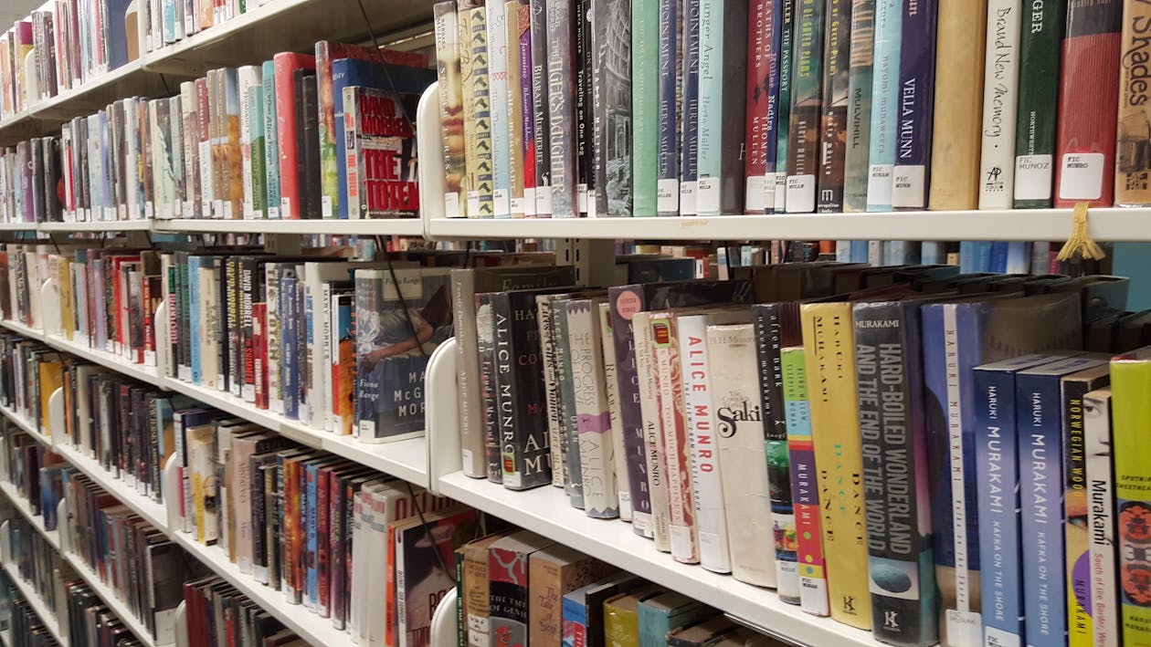 Free stock photo of book shelves, books, library