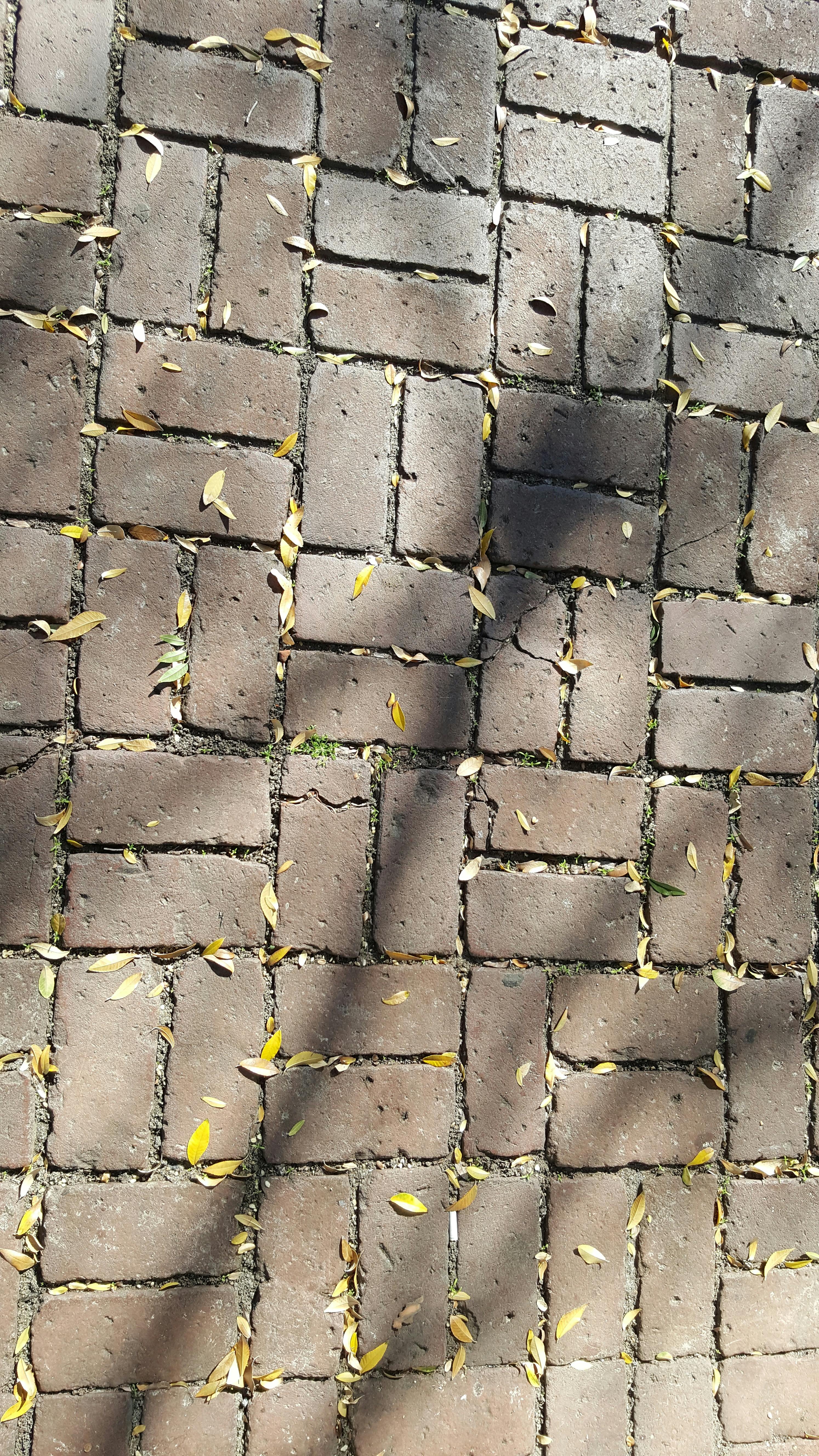 Free stock photo of brick paving, bricks, desktop backgrounds