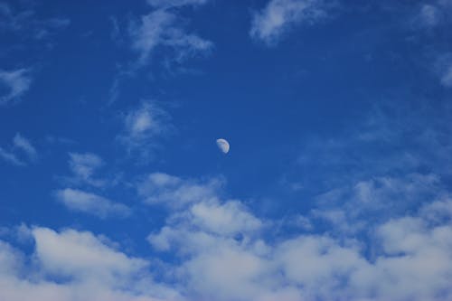 Free A Moon Appears in Blue Sky  Stock Photo