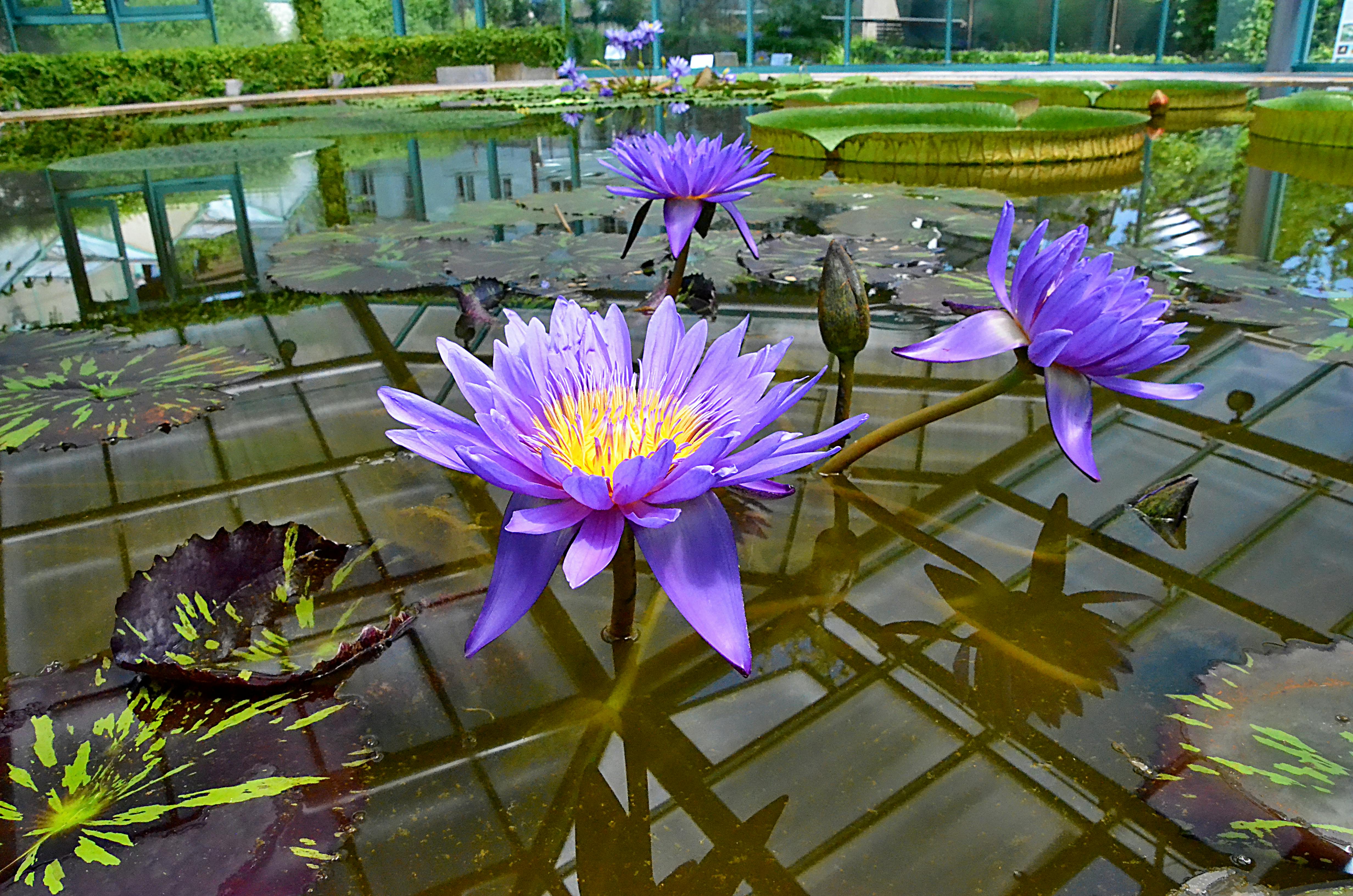 Peaceful home setting