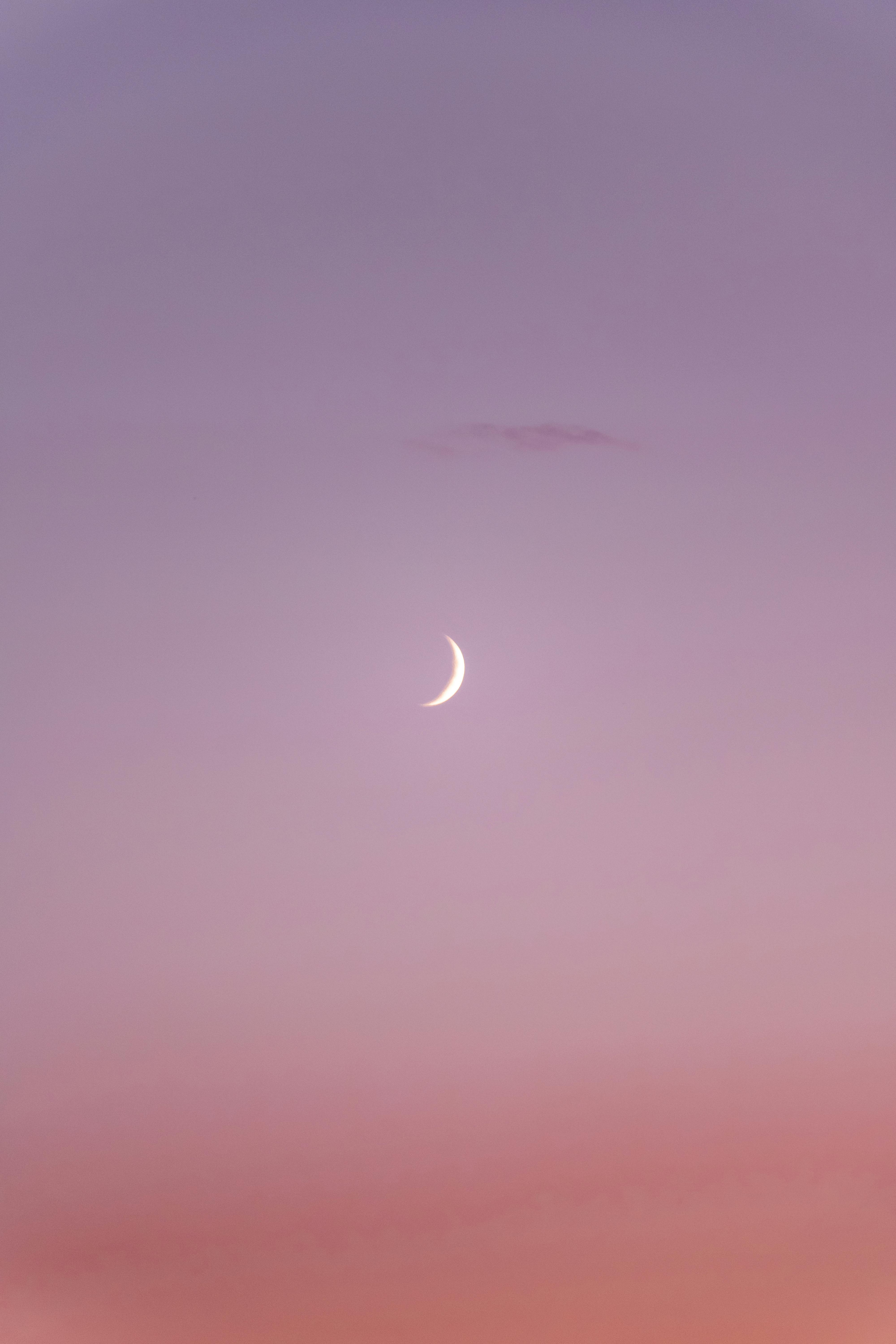 ピンクの空 三日月 勾配 夕日 夕暮れ 夜明け 月の背景の無料の写真素材