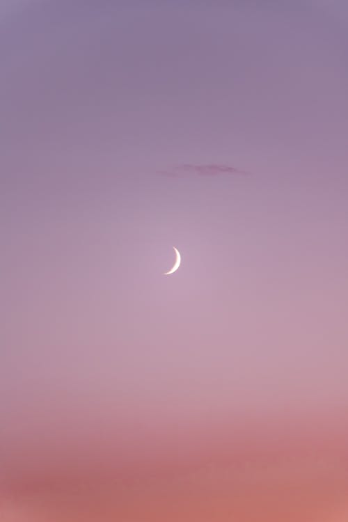 ピンクの空 三日月 勾配 夕日 夕暮れ 夜明け 月の背景の無料の写真素材
