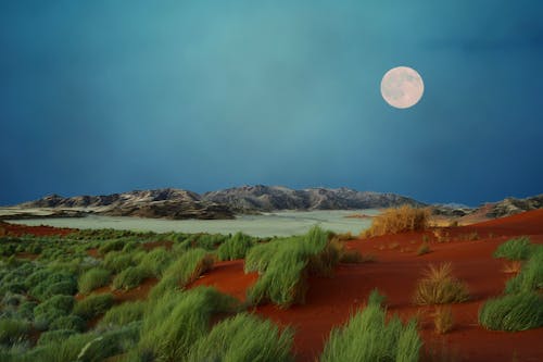 Moon over a Terrain 