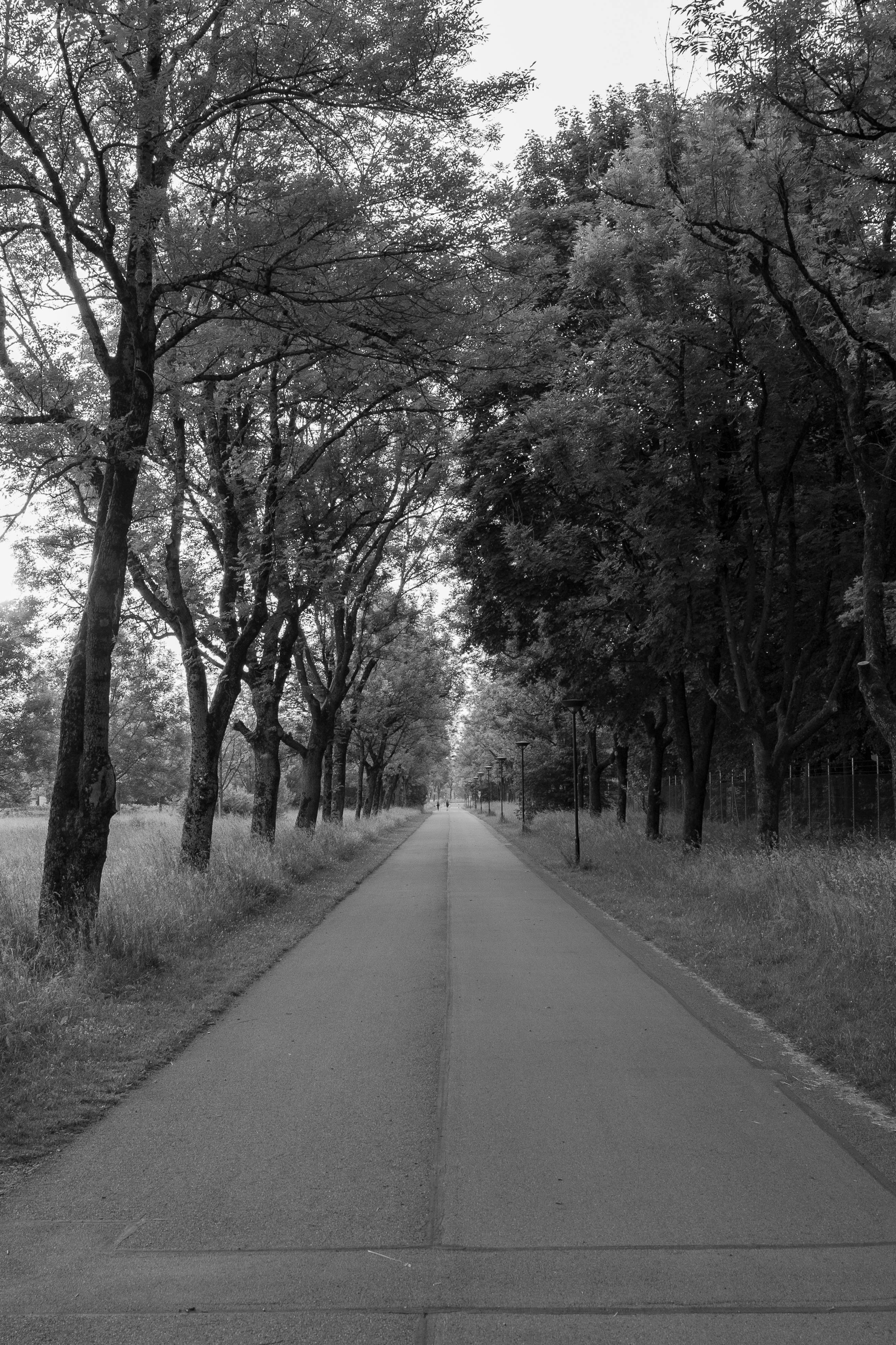 4K Backgrounds for Smartphone · Pexels