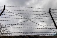 Black Electric Wires on Brown Field