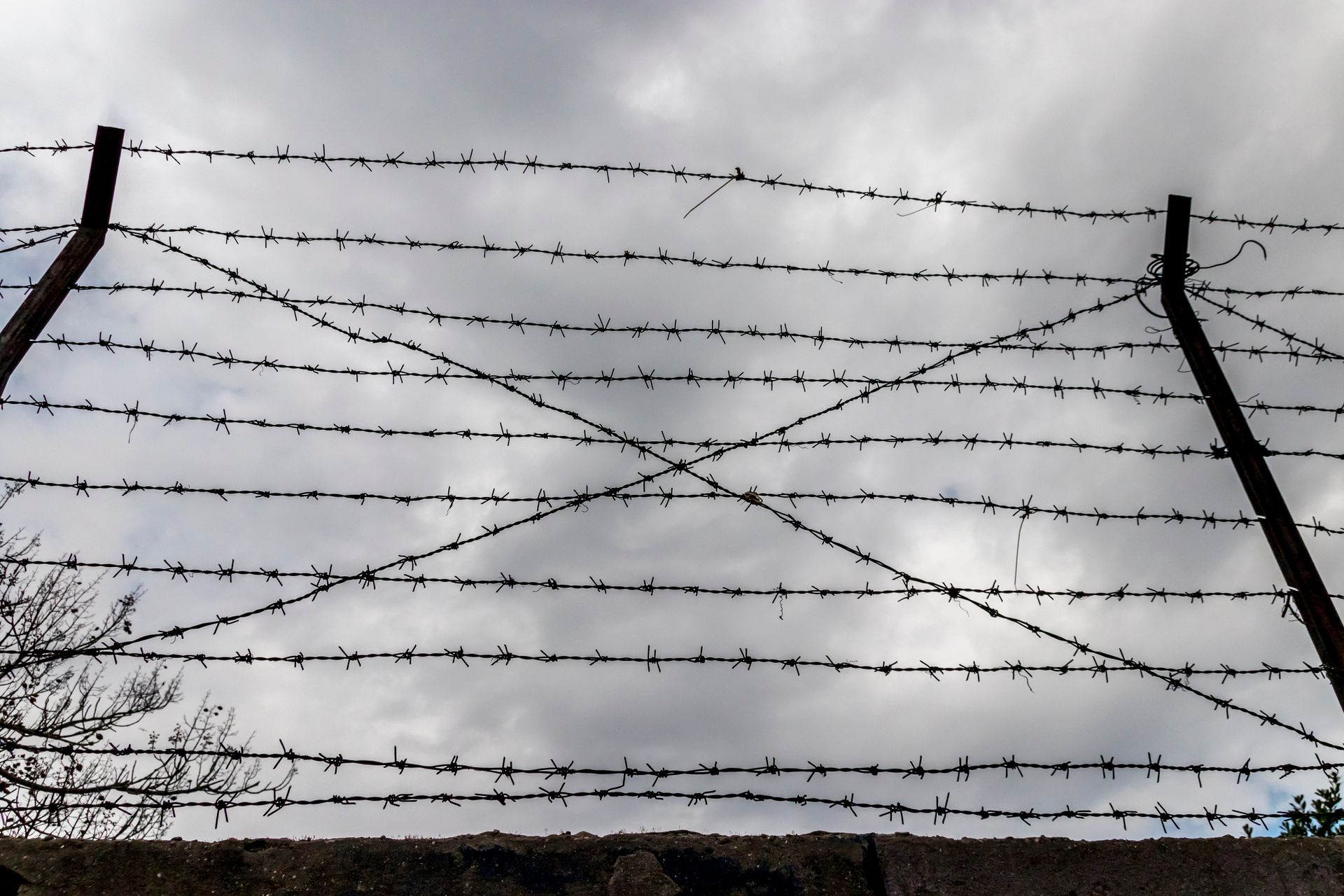 Low Angle Shot of Barbed Wires