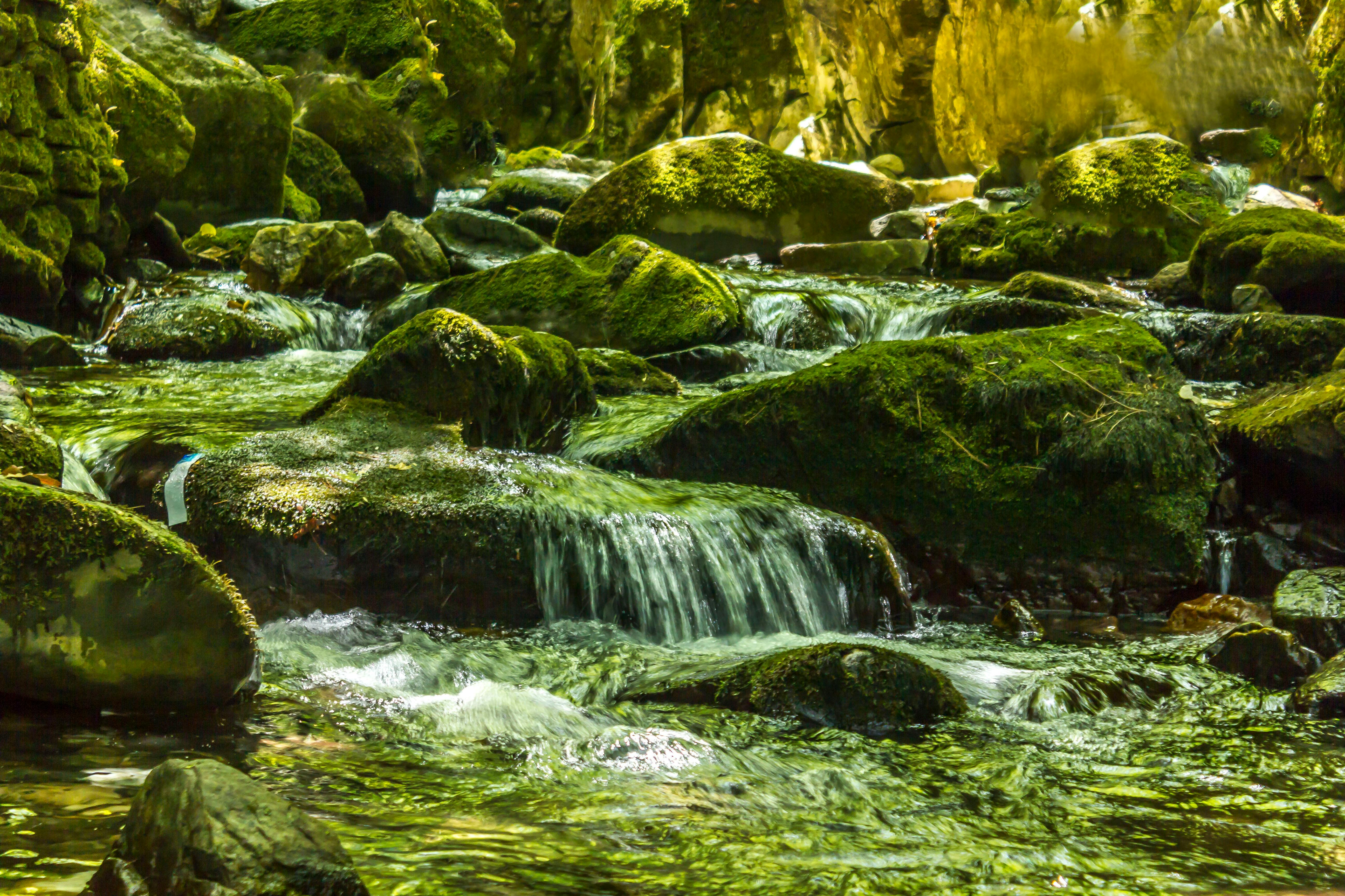 A tranquil creek cascading down a jagged landscape of moss-covered rocks  and lush foliage Stock Photo - Alamy