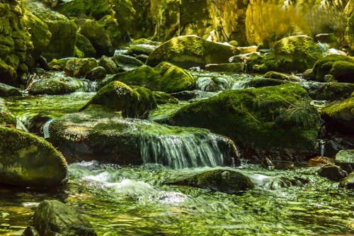 Безкоштовне стокове фото на тему «вода, затока, камені»
